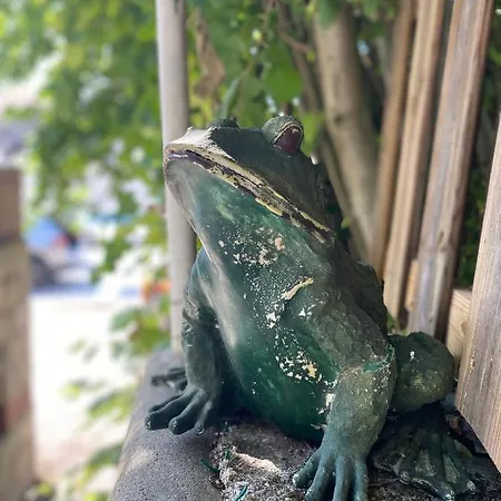 Le Clos Maison 3 Avec Extérieur Et Parking Centre *