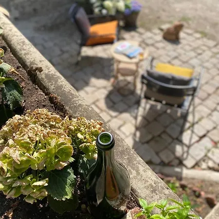 Hébergement de vacances Le Clos Maison 3 Avec Extérieur Et Parking Centre